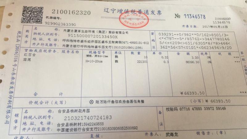 东北耐寒宿根花卉欧石竹街道小区公园绿化工程做花海厂家批发供应