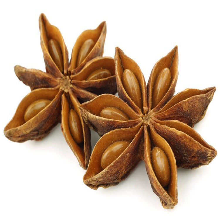 大茴香 八角茴香纯干可打粉大料调味品 产地大货中药材全品类批发