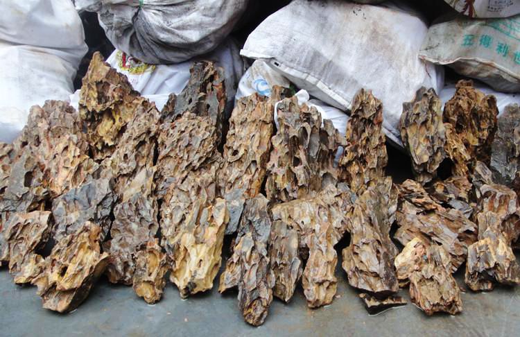 批发鱼缸景观造景冲洗松皮石虎皮石多孔美观还有特价木化石青龙石