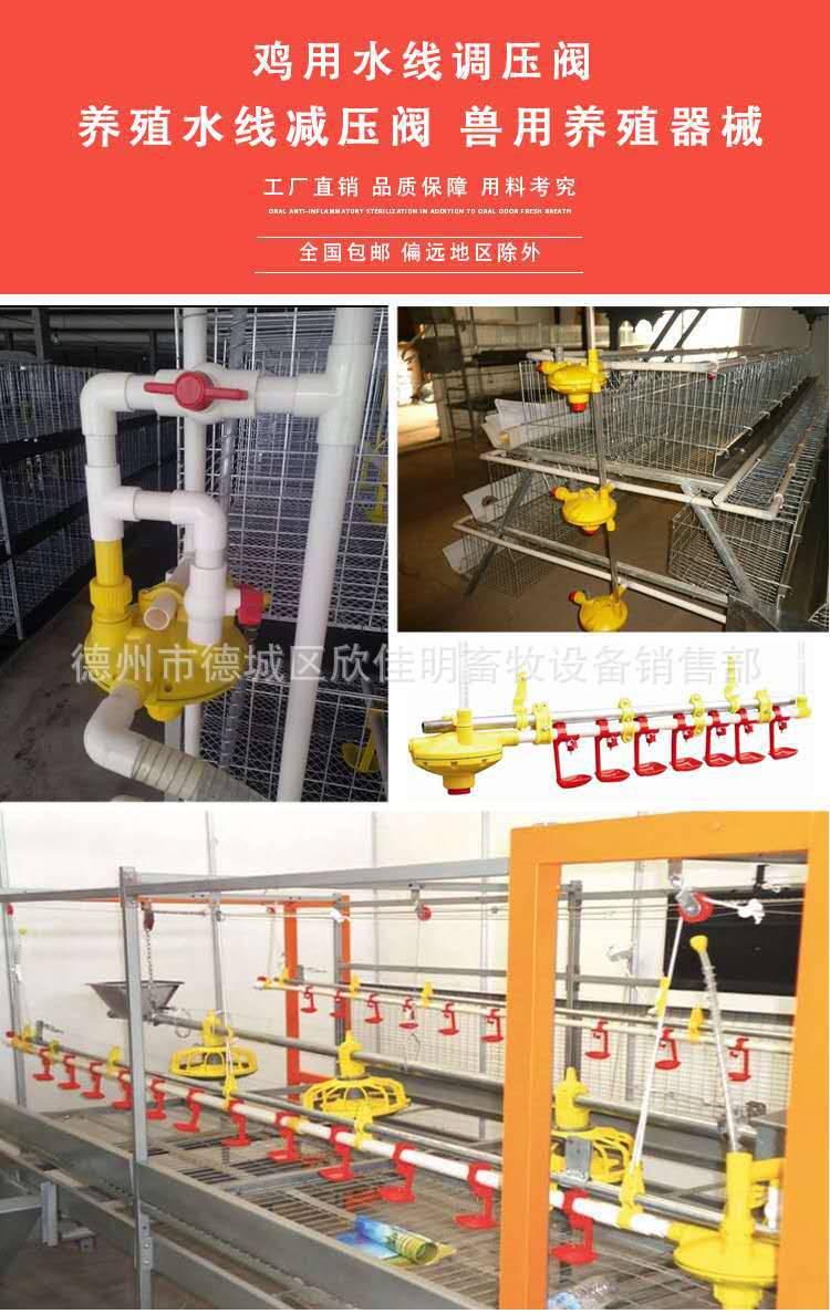 养殖水线调压阀 鸡饮水线减压阀 双向反冲自动调压器水线末端