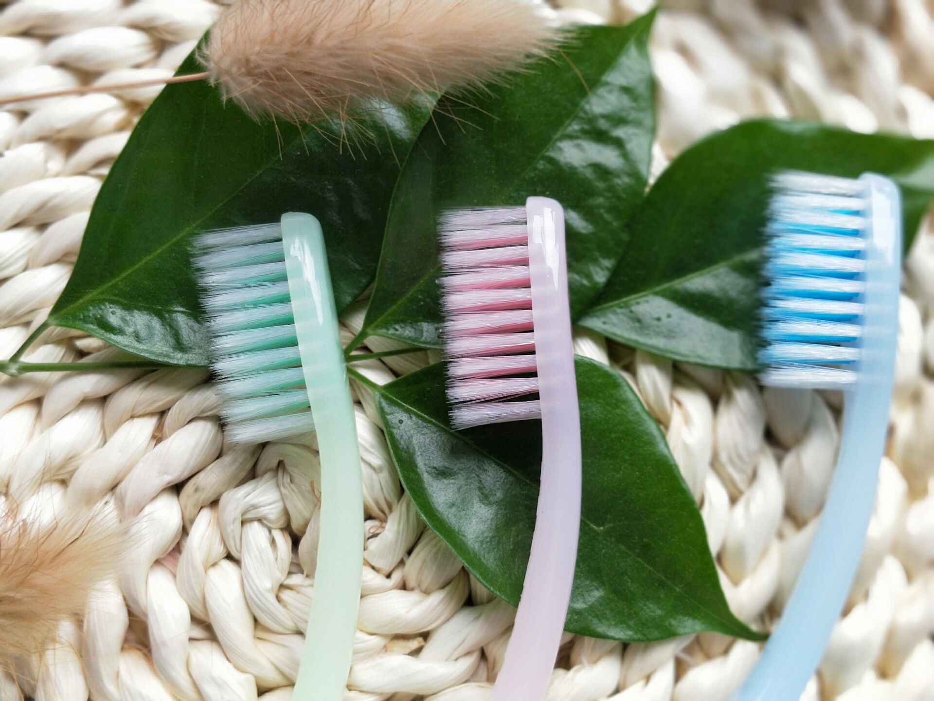 3支软毛家庭装成人牙刷镂空型