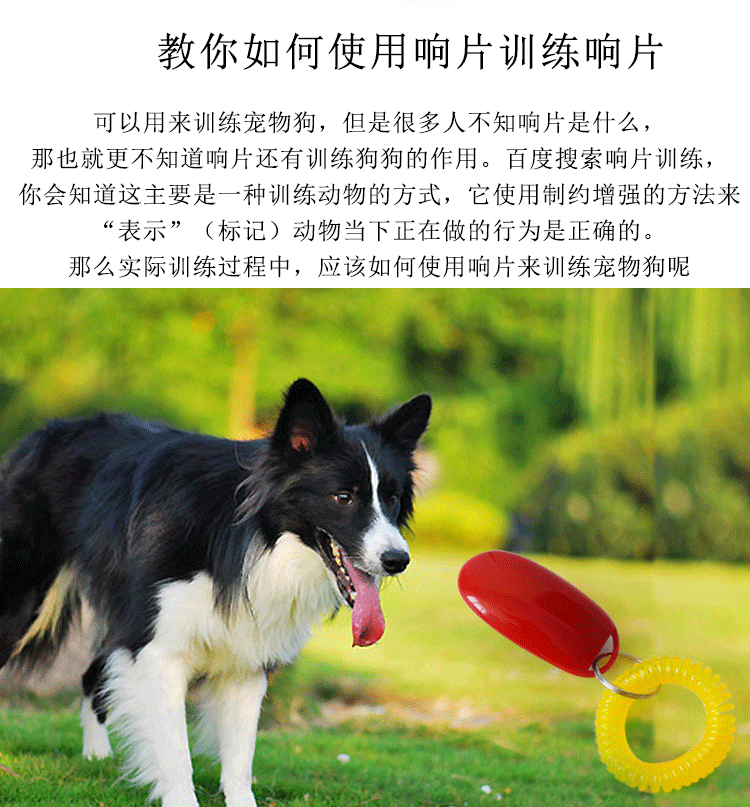 狗狗响片 发声响片宠物响声训练器 训狗器训练响片 训犬训狗响片