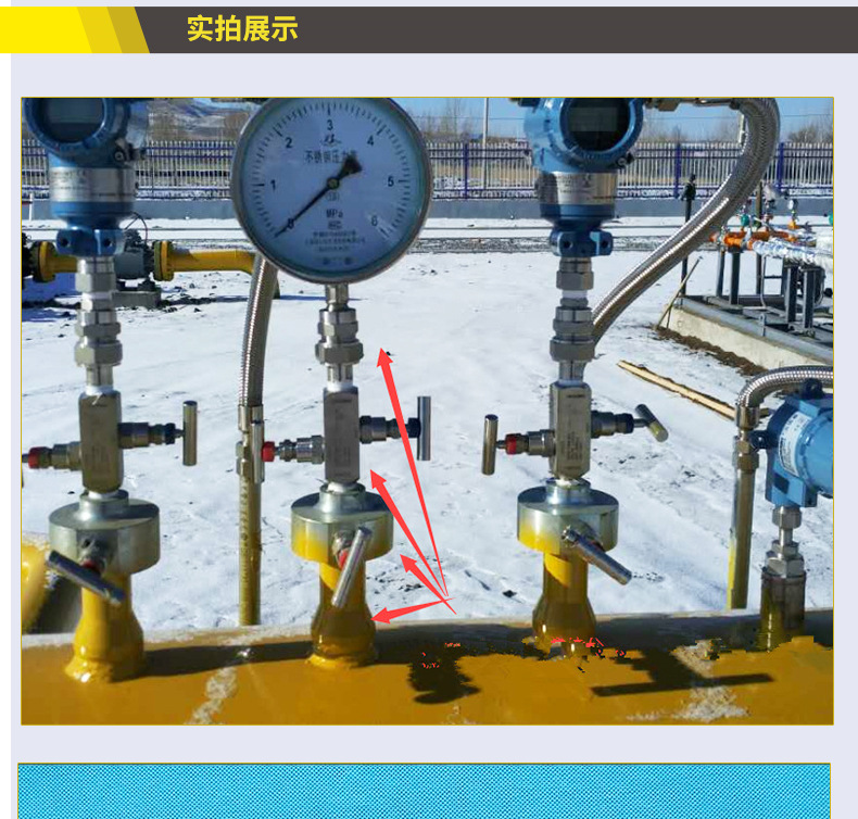 二阀组压力变送器厂家直销 型号齐全质量保障批发零售