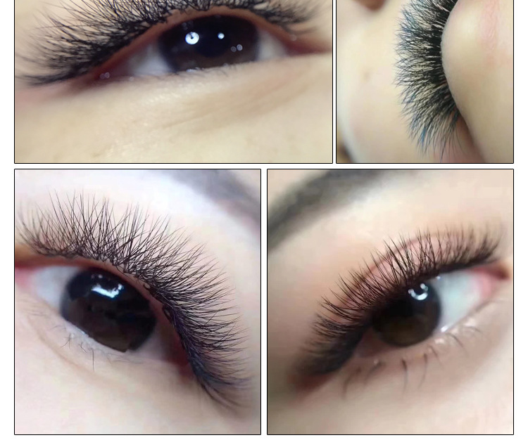 一秒开花睫毛嫁接睫毛水貂毛绒自动山茶花0.05超柔软浓密自然