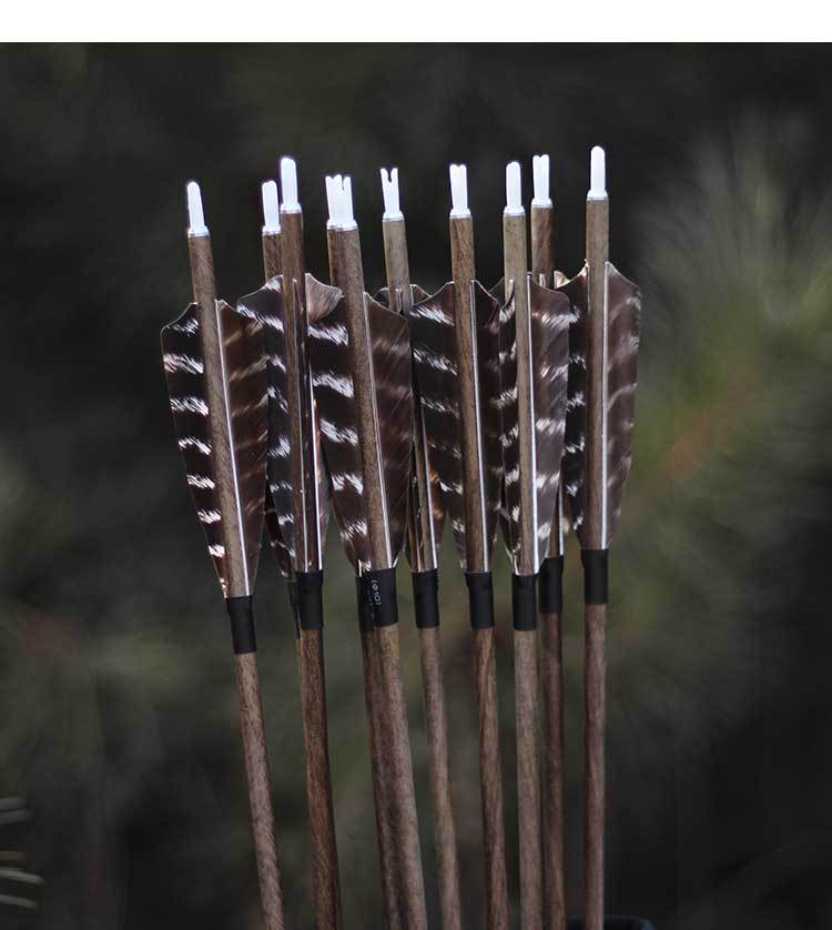 纯碳真羽箭支 沉香木纹箭杆真羽碳素箭防打钉花羽6.2内径纯碳箭