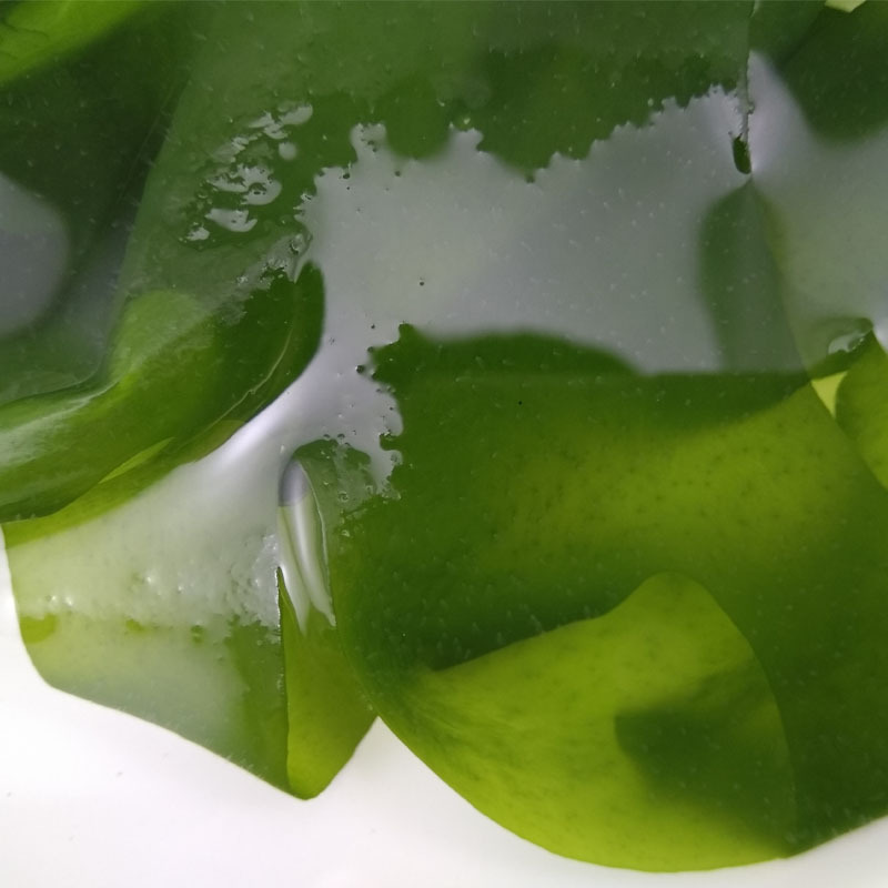 一件代发 大连裙带菜海白菜裙带叶非海带 4斤包邮