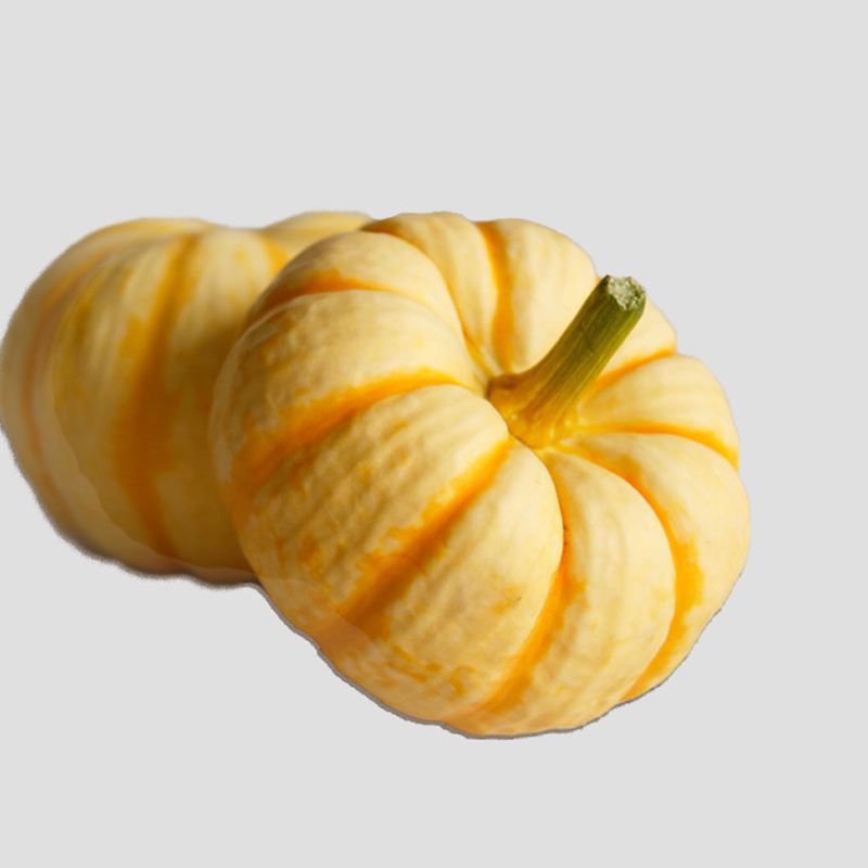 0成交1309个产地批发特色蔬菜酒店用太阳果太阳瓜新鲜迷你小南瓜桔瓜3
