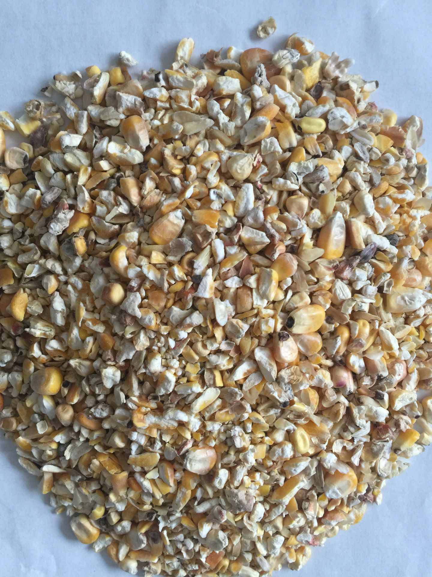 大量优惠供应 优质碎玉米颗粒饲料 牛羊鹅鸭 饲料原料