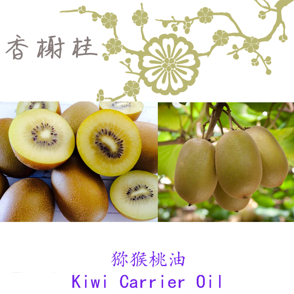 供应英国进口猕猴桃籽油奇异果油 基础油 化妆品原料批发1l起订