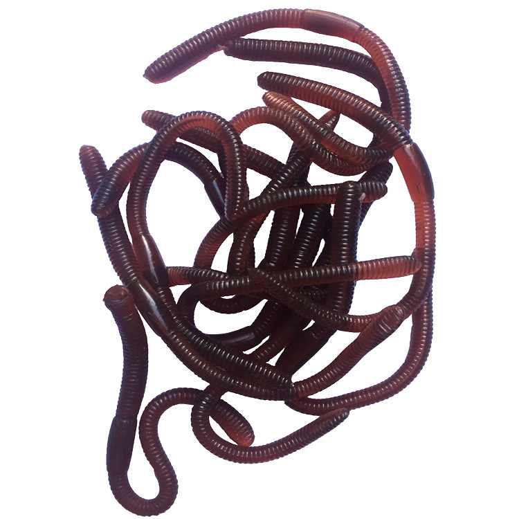 仿真鱼饵小虫软虫蛆虫 tpr软胶蚯蚓 粘性长蚯蚓 整蛊吓人小玩具