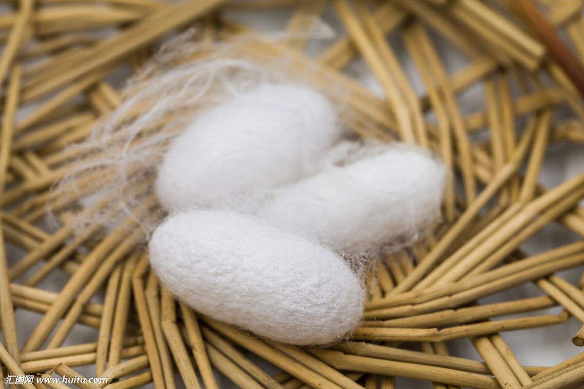 供应百分之百动物蛋白纤维绿色环保桑蚕丝制作医用手术缝纫线