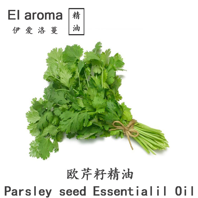 印度欧芹籽精油 parsley seed 洋芫荽单方精油 面部护肤10ml起订