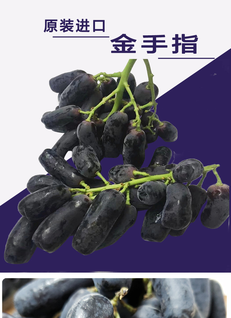 供应美国进口金手指无籽黑提 新鲜提子黑加仑