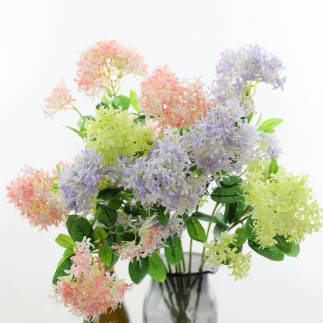 夕雾花(夕雾花的花语和寓意)