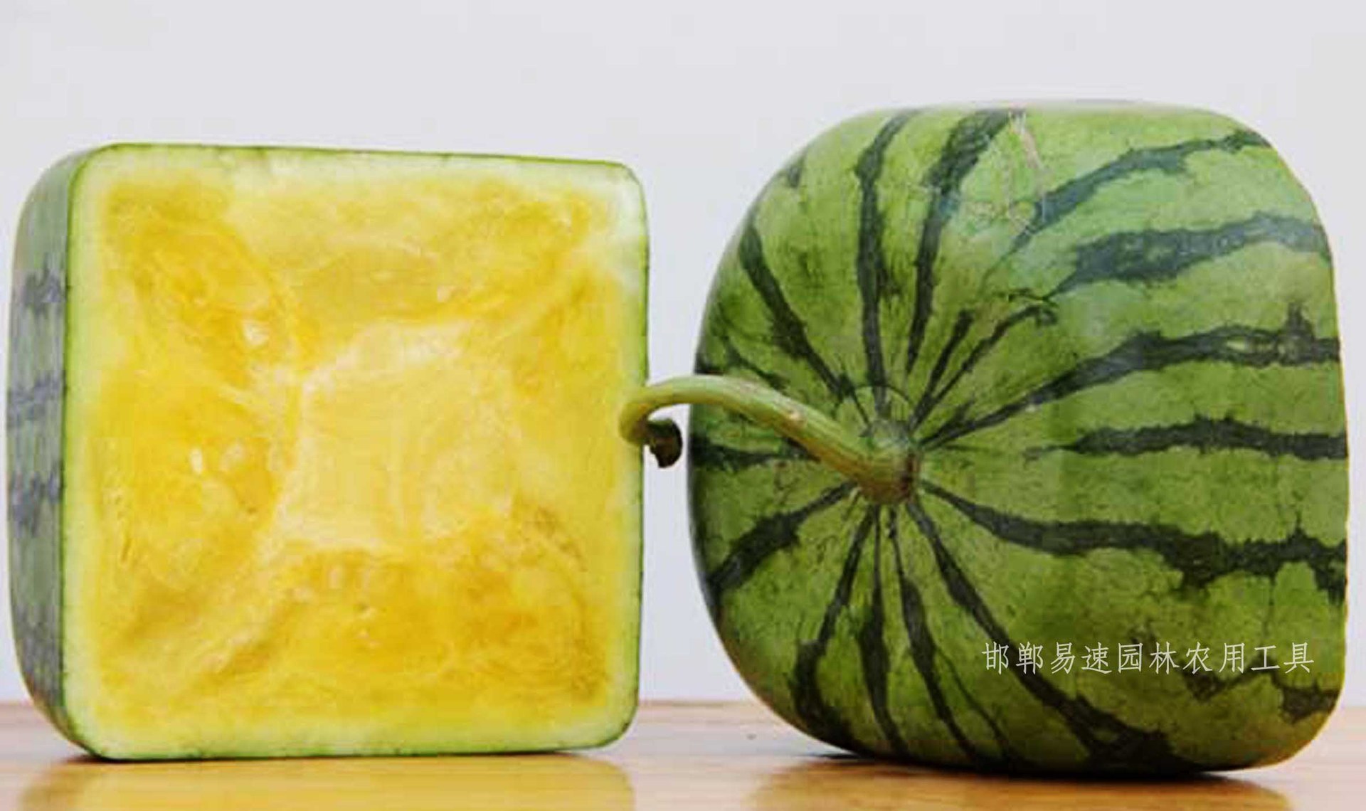 方形西瓜定型生长模具成型模具18x18方西瓜模子12斤水果塑料模具