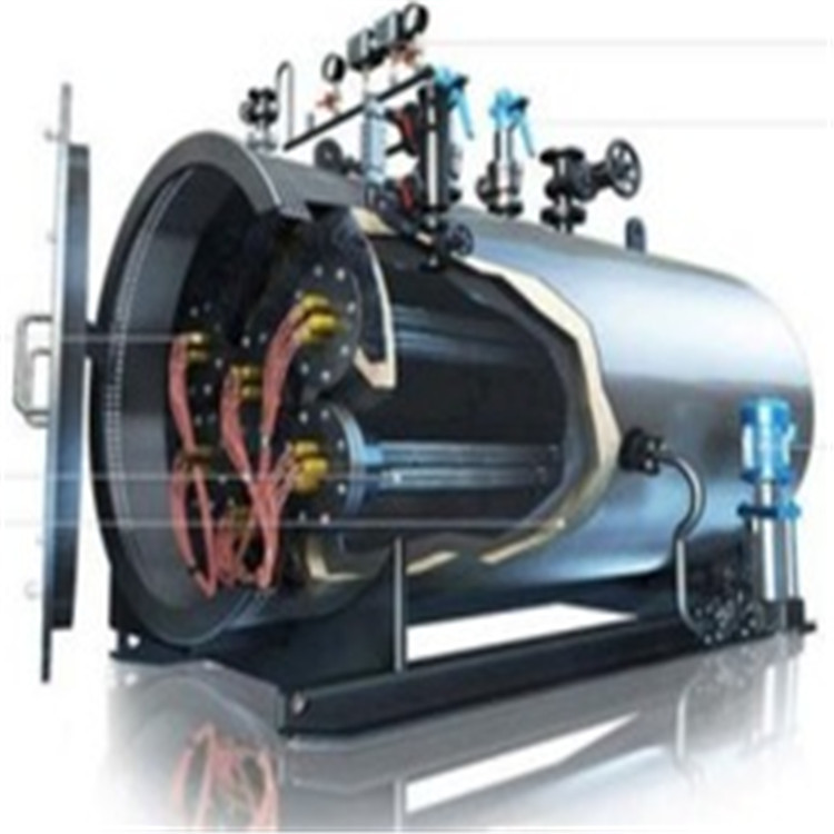 供沼气锅炉 沼气设备 沼气火炬 沼气和煤两烧锅炉 甲醇蒸汽发生器