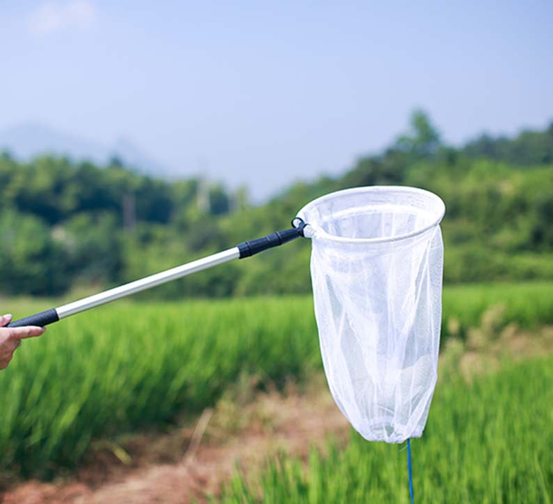 双层白加深捕虫网 伸缩铝合金抄网 折叠儿童蝴蝶蜻蜓知了昆虫网兜
