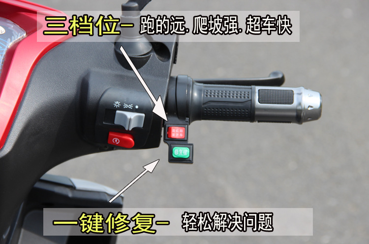 出口战神尚领迅鹰 长跑王电动车 电动摩托车 电动车 成人