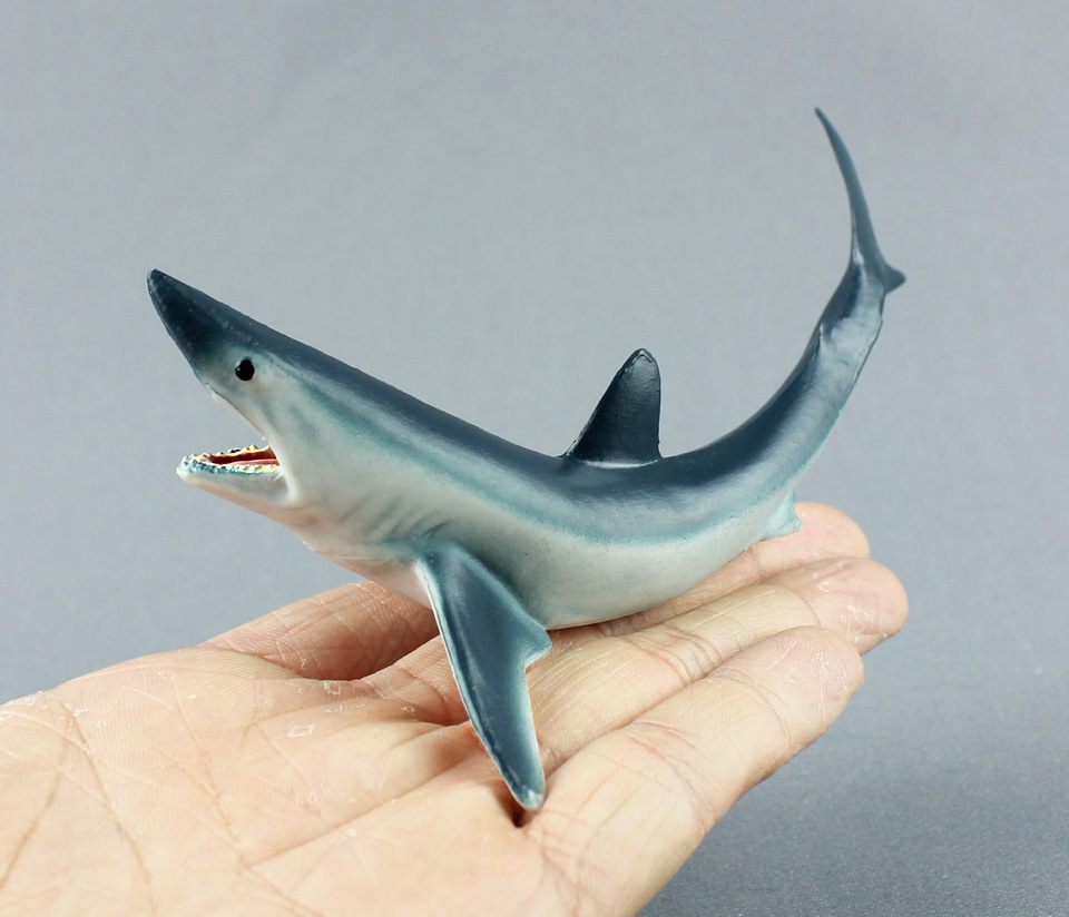 海洋生物模型灰鲭鲨儿童仿真静态鲨鱼塑胶实心动物玩具外贸货源