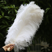 粗杆优质白色鸵鸟毛50-55cm 插花婚庆羽毛用品蓬松大羽毛工厂供应