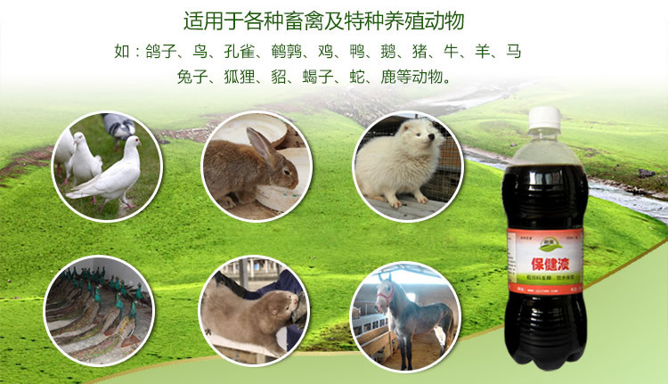 动物饮水保健液