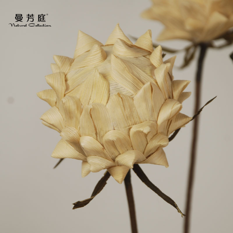 火龙果手工制作永生花摆件 花艺插花干花花材家居装饰花厂家供应