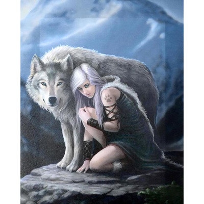 diy钻石画满钻 新款美女和狼 贴钻十字绣 跨境亚马逊货源厂家批发