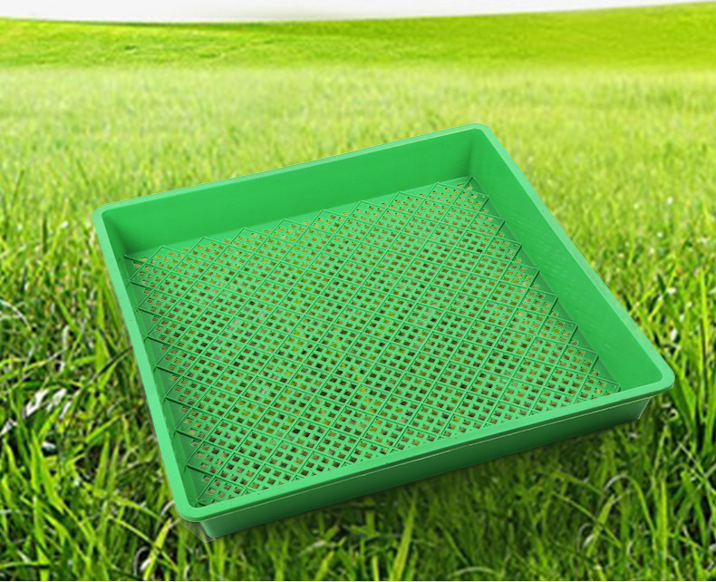 厂家直销育苗盘育苗托盘 育芽菜平底托盘 pp转运盘多肉苗盘