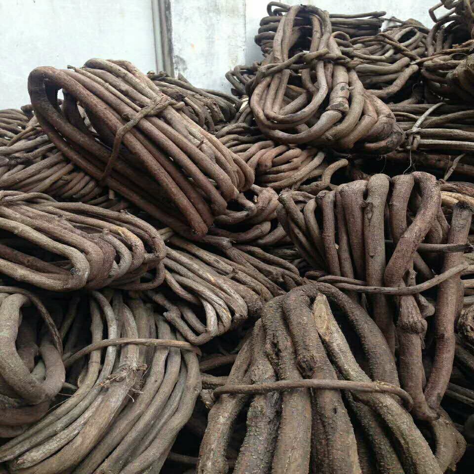 树藤古藤山藤装饰酒店家庭缠绕攀爬藤装饰婚庆装饰树藤造景树藤