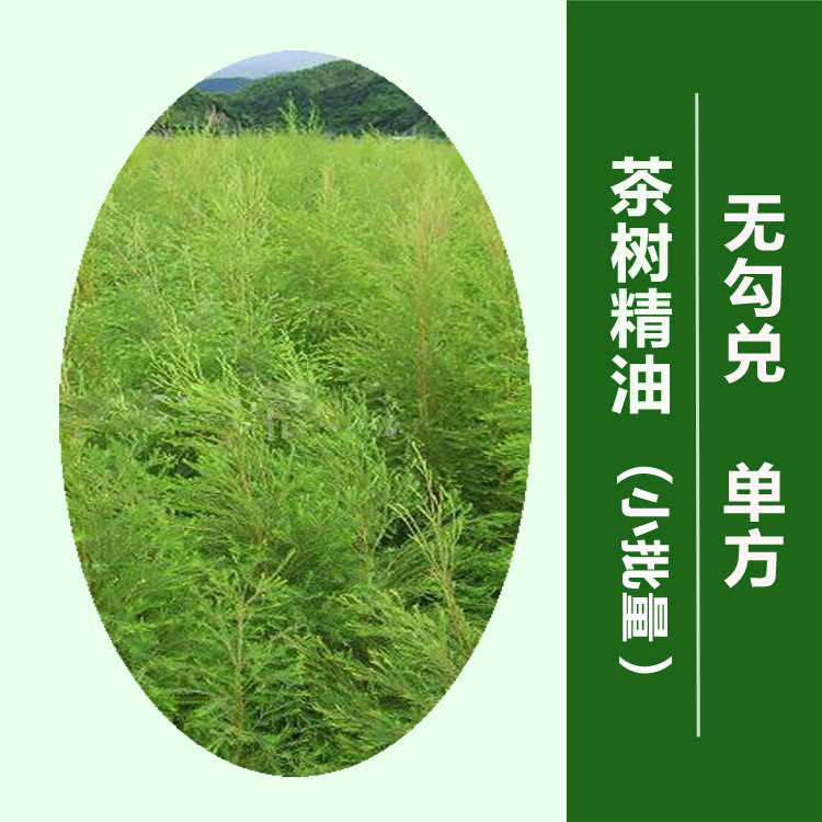 无勾兑 单方精油批发】茶树精油100毫升
