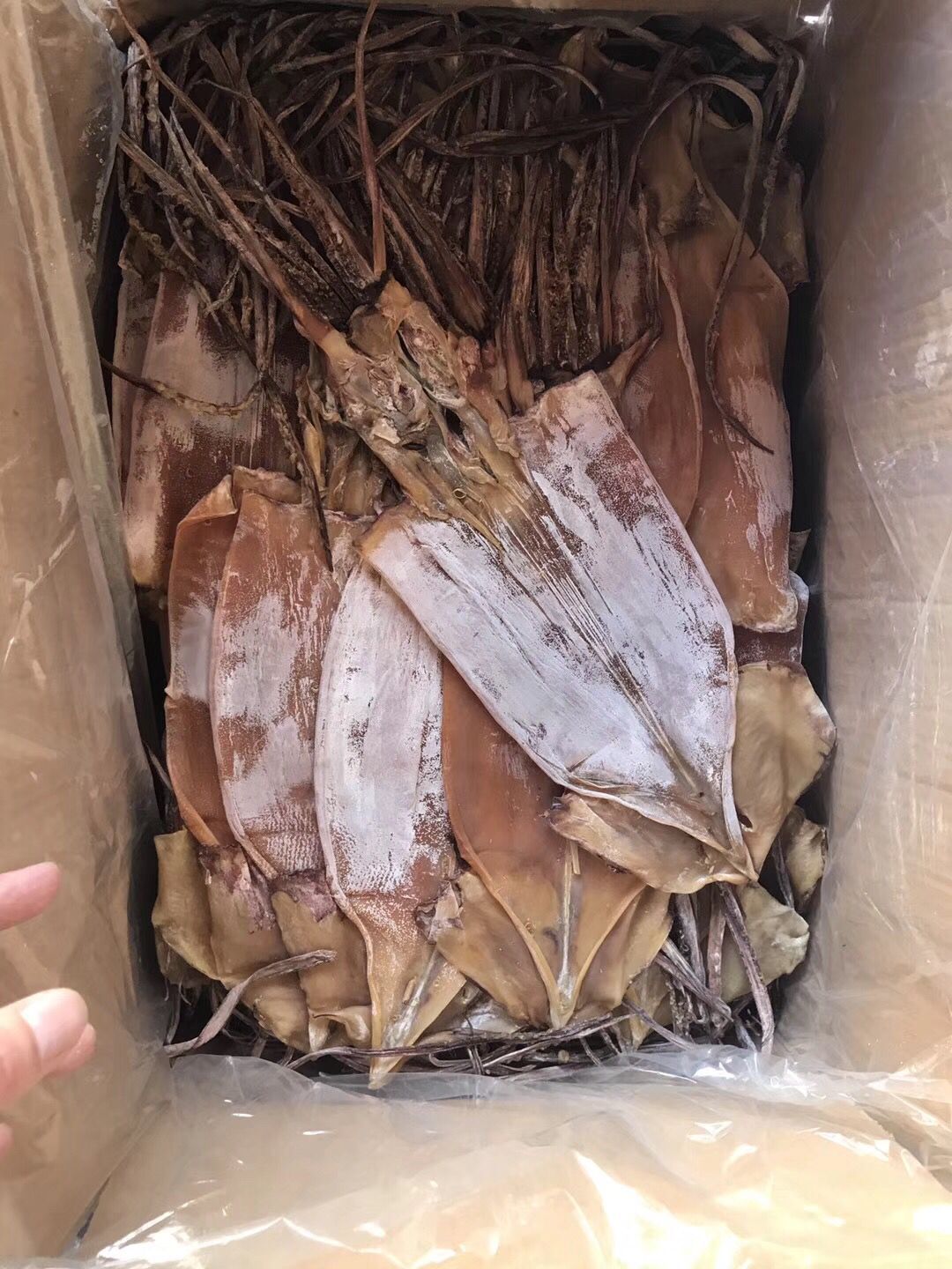 鱿鱼干鱿鱼阿根廷鱿鱼阿鱿海鲜干货