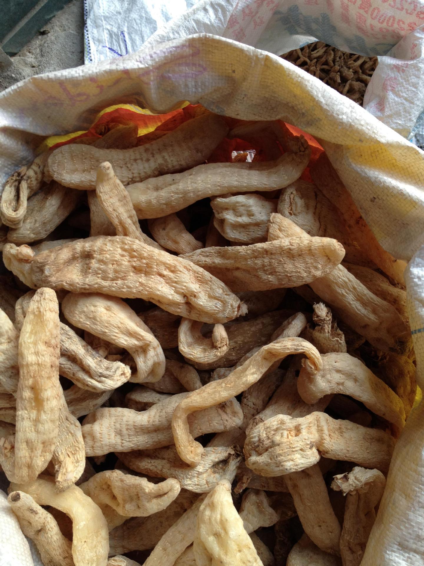 岳西县原产天麻 规格齐全健康天麻 可切天麻片中药材批发_商城_岳西县
