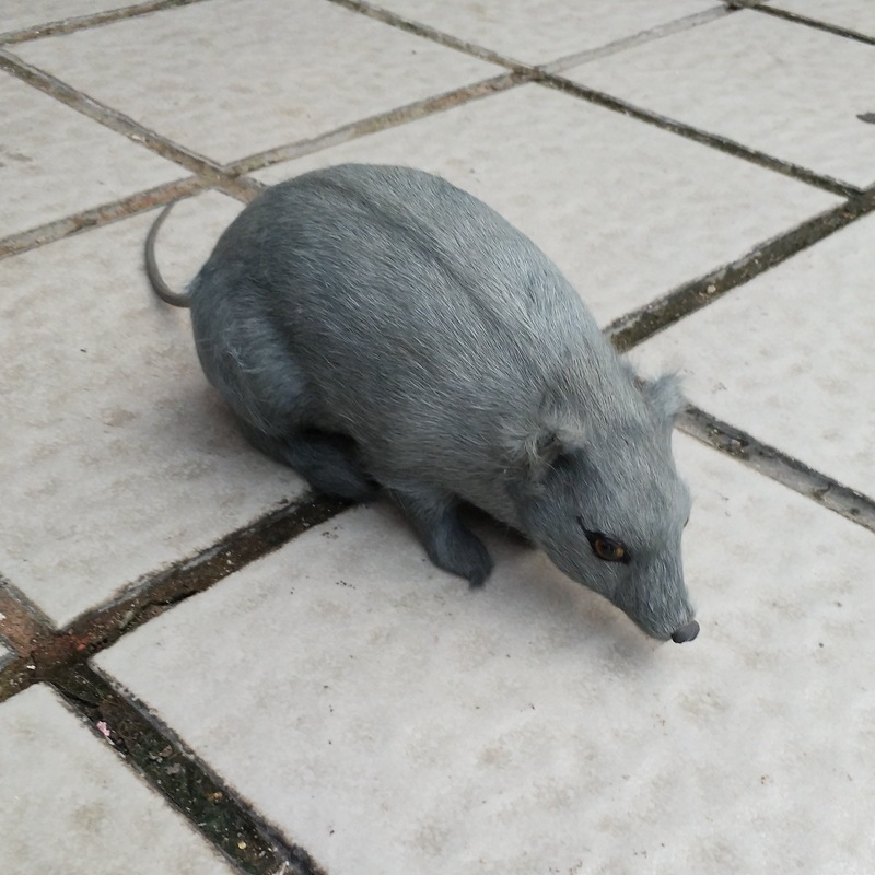 仿真灰老鼠玩具整蛊恶搞道具生日礼物新奇仿真动物创意毛绒大老鼠