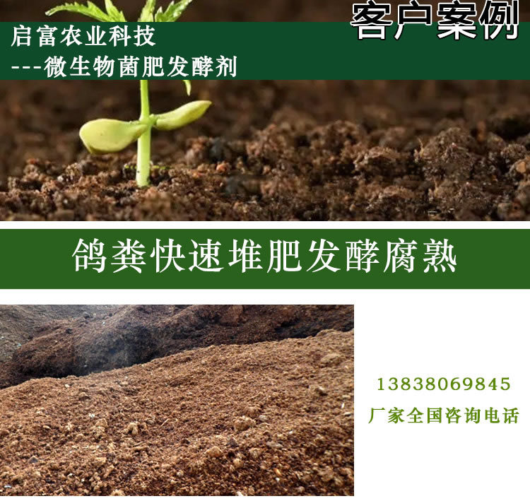 鸽子粪微生物发酵剂