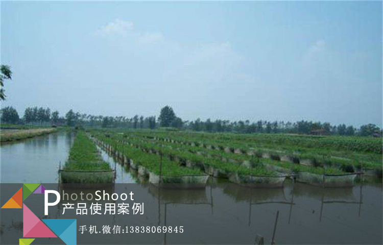 水产益生菌客户使用案例