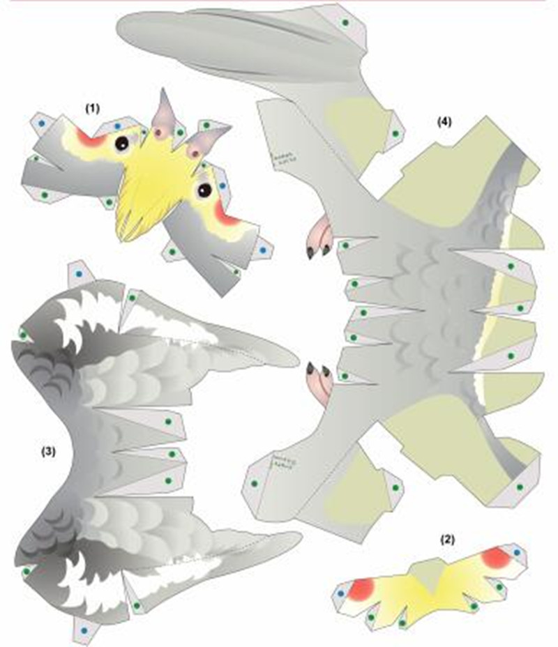 04kg2,页数: 3页1,难易等级为 1 颗星 (难为 6颗星)3d 立方体纸模
