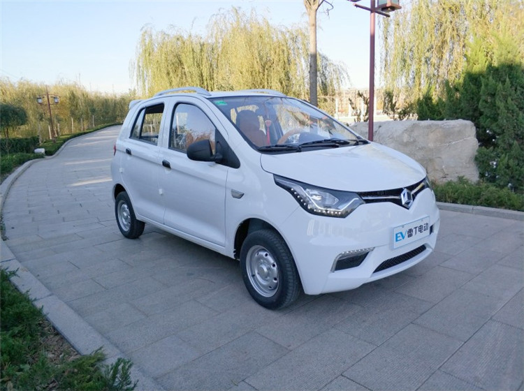 雷丁d70电动四轮车成人电动汽车轿车油电两用代步车新能源观光车