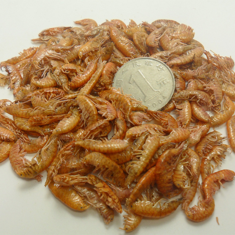 高蛋白补钙龟饲料通用龟粮淡水钩虾无盐小虾干巴西龟增色食物勾虾