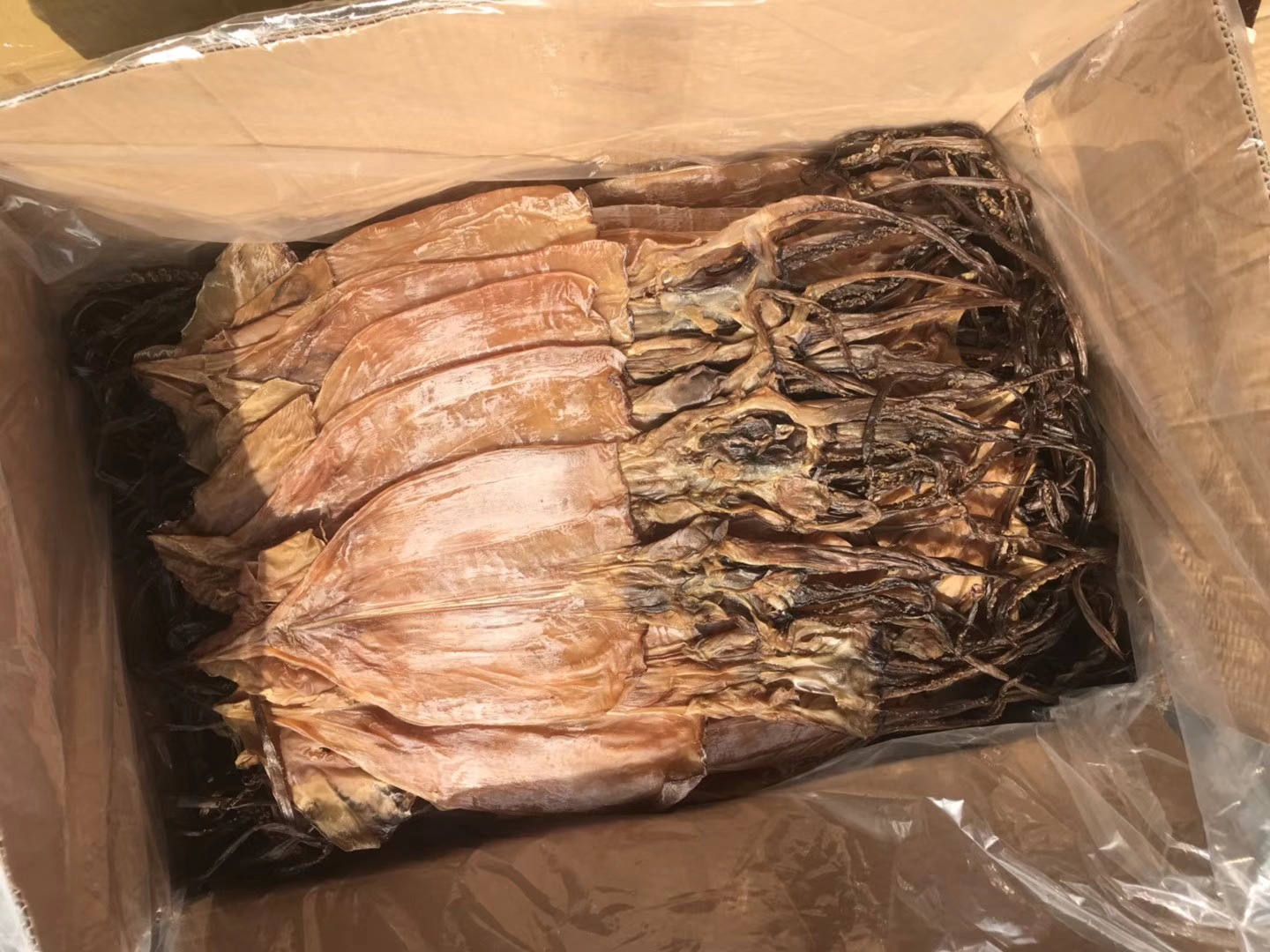 阿鱿 阿根廷鱿鱼 全淡 足干 鱼干 海鲜干货