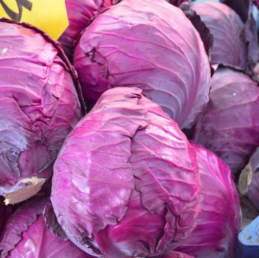 紫甘蓝5斤紫包菜球生菜新鲜紫色的西餐蔬菜沙拉食材 包运费