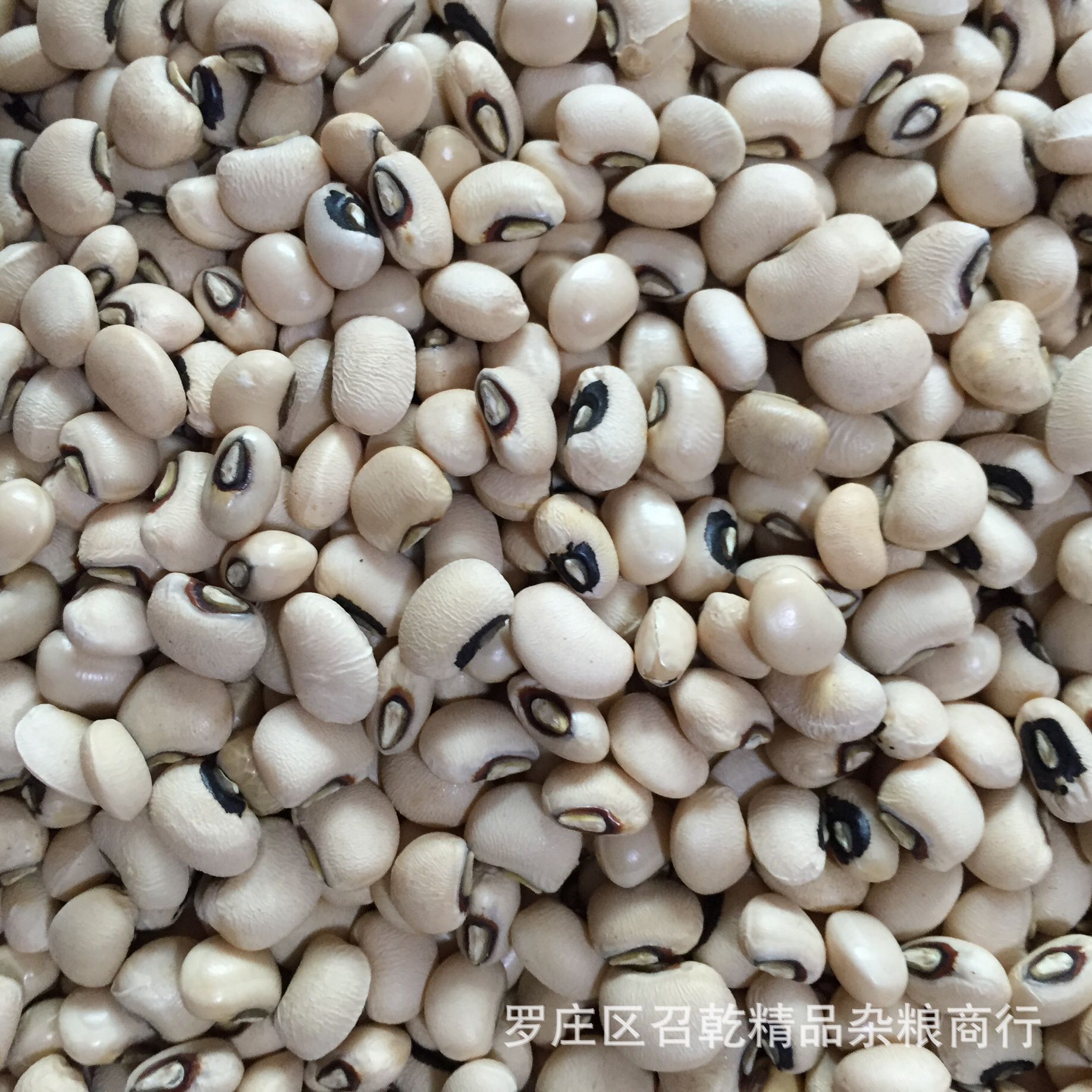 批发优选白豇豆 五谷杂粮白眉豆农家种植粗粮白饭豆量大优惠