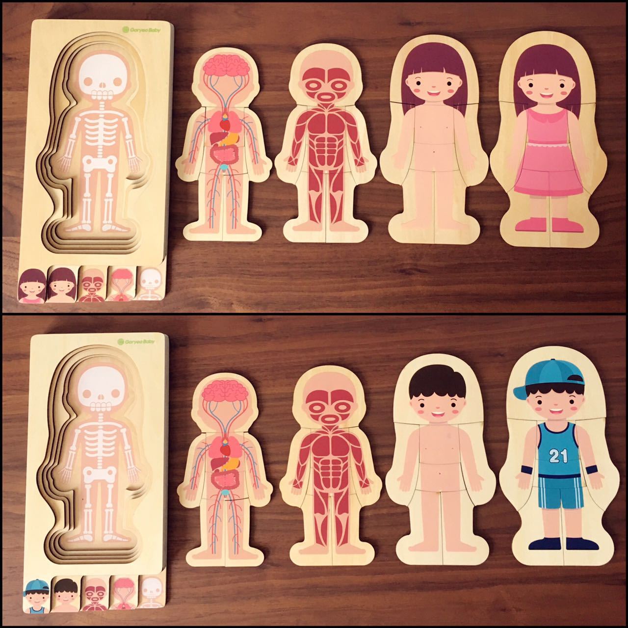goryeobaby男孩女孩拼图人体拼图儿童拼图幼儿园人体结构早教教具