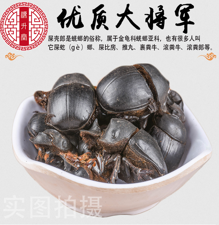 中药材大将军 千种动物原药材屎壳浪 蜣螂虫散装规格齐全量大从优