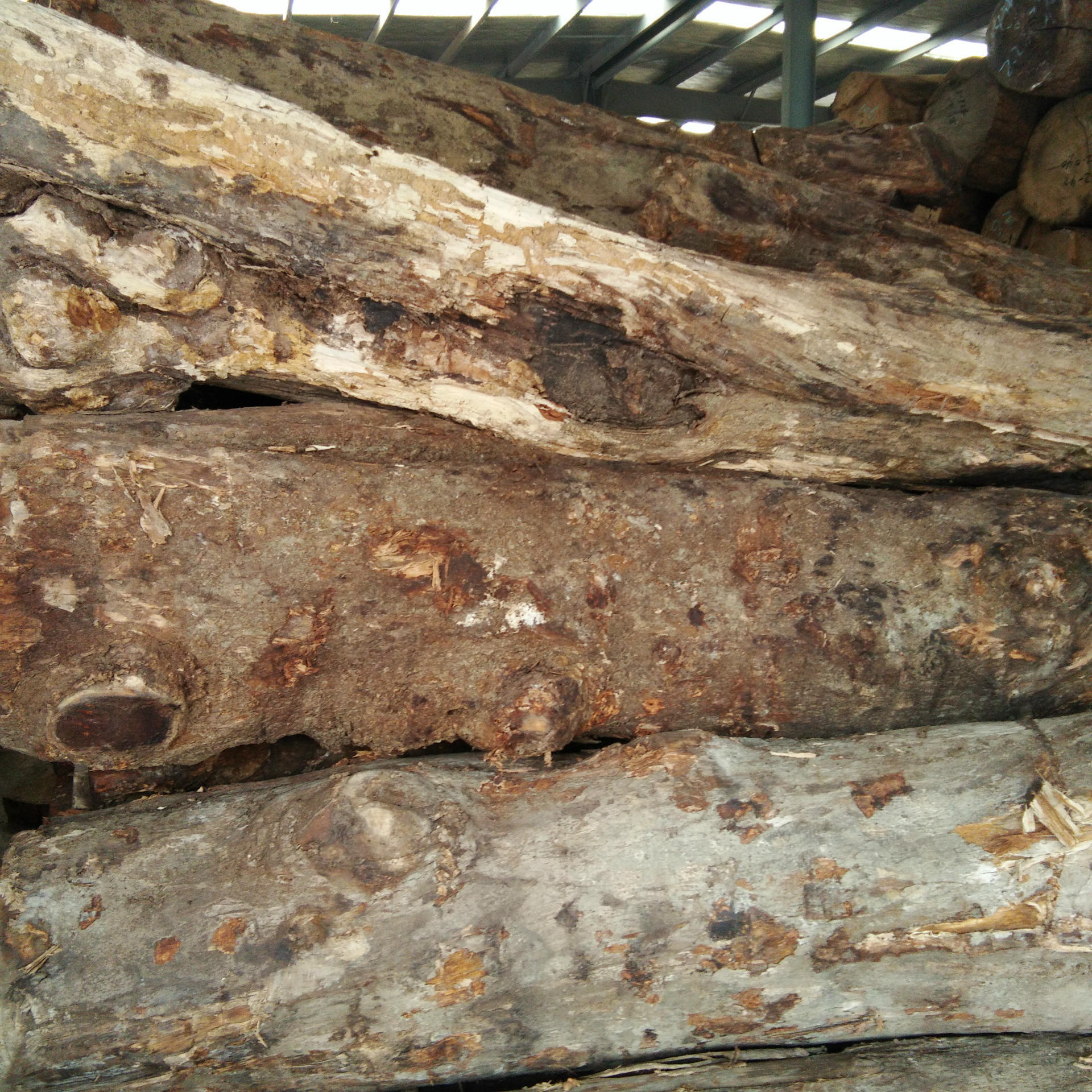 张家港原木 印尼大叶 黄花梨木 小叶紫檀 现货价格优惠