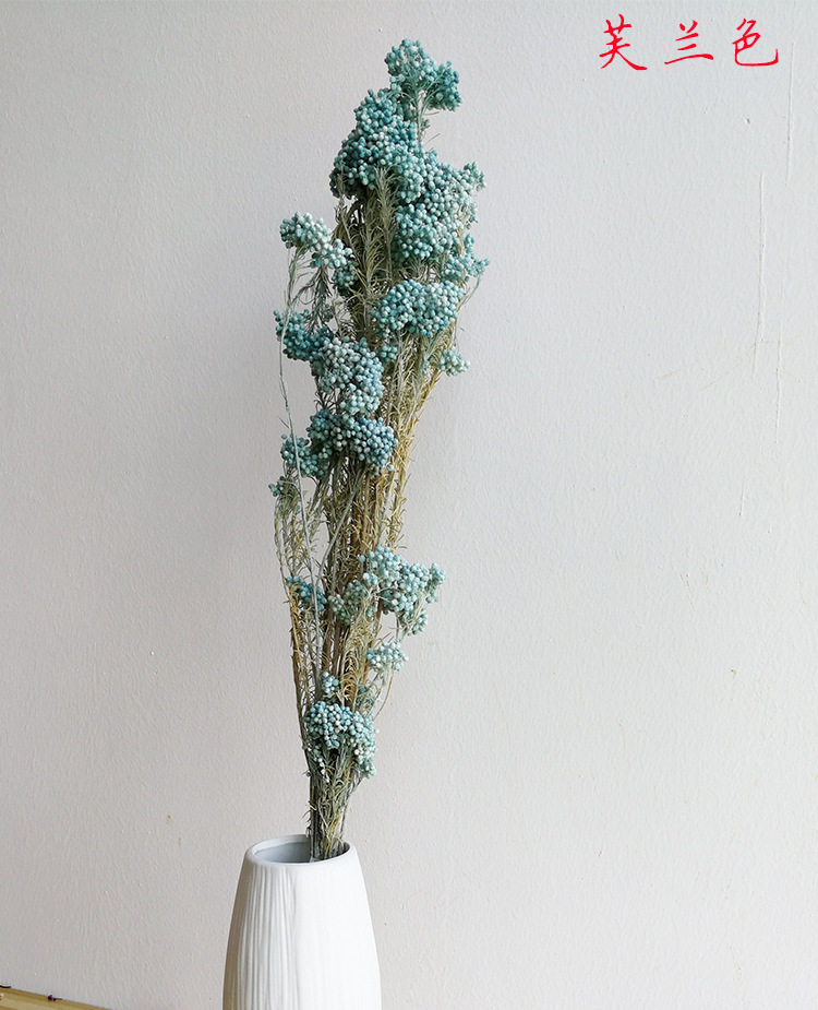 永生花米花干花 批发干花永生米花花束真花七夕情人节花束礼物