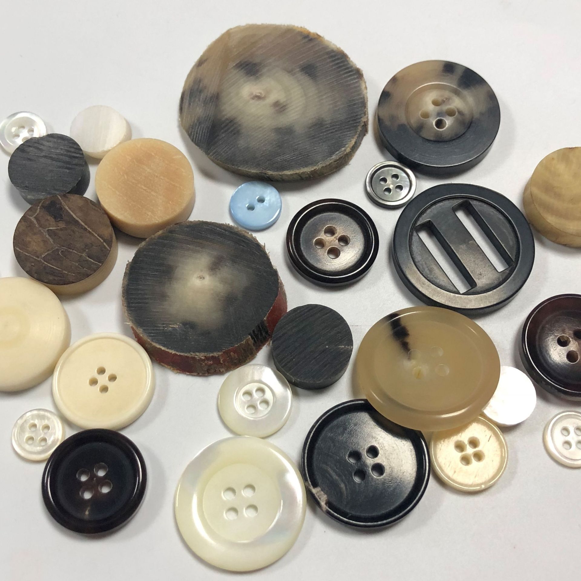 纽扣定制专用牛角扣定做贝壳扣定做果实扣定做 logo定制 各类纽扣