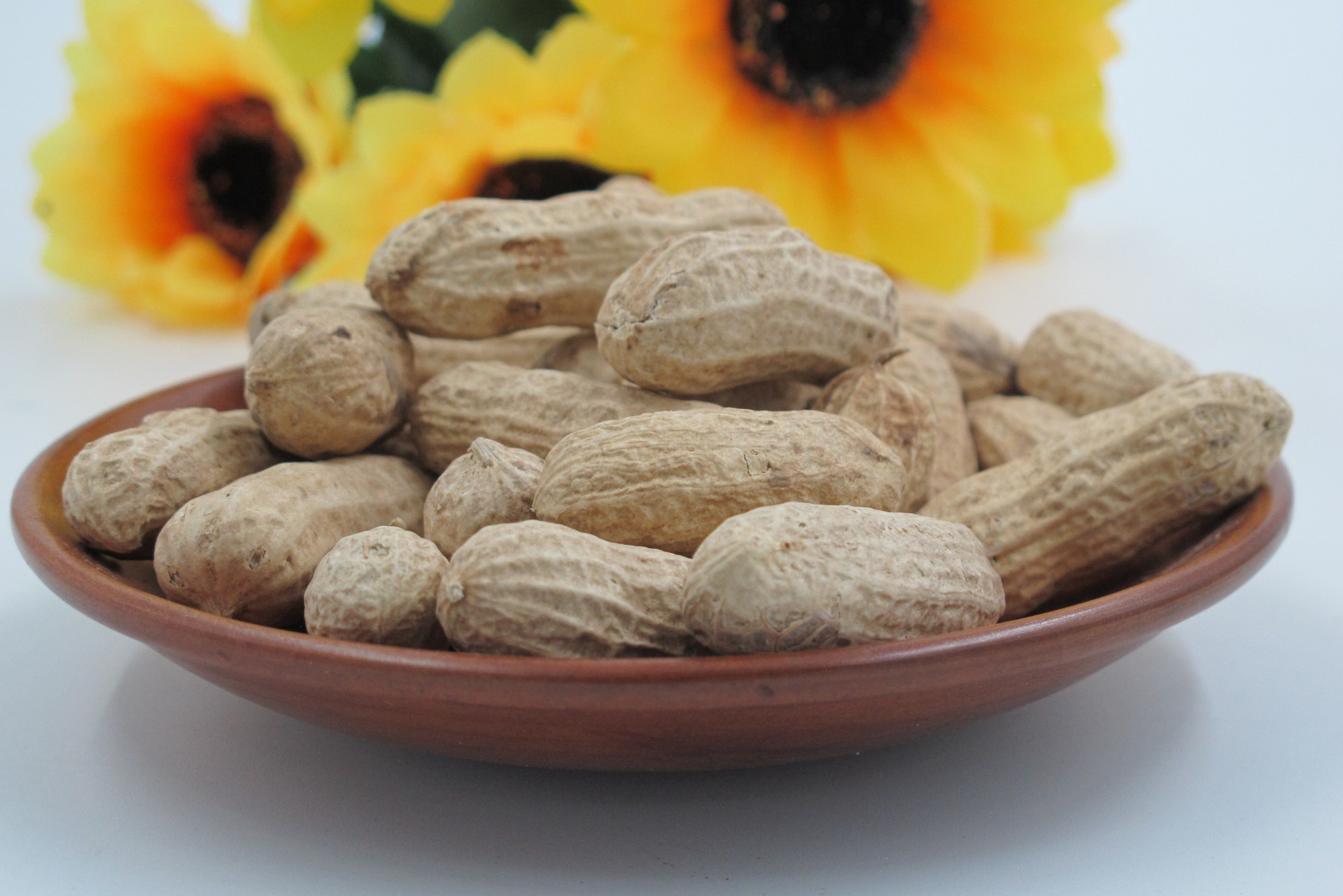 大量批发带壳红衣花生,东北四颗生红衣花生一件代发代包装贴牌