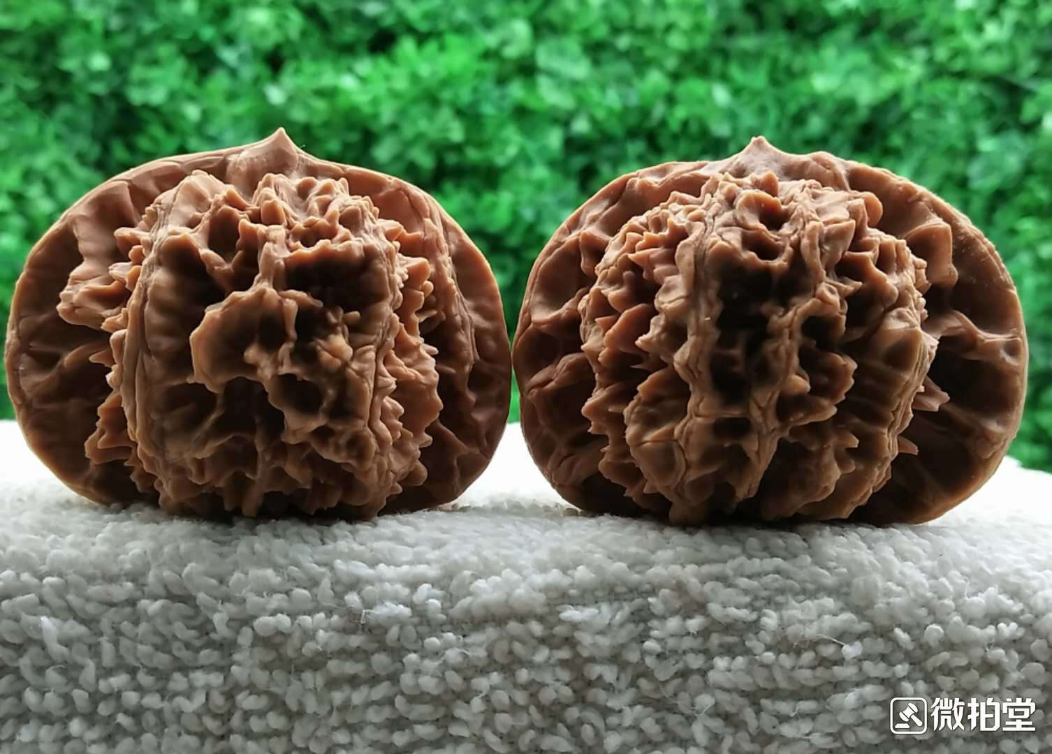 河北涞水文玩核桃 精品中国大花刺纹官帽 把玩礼品文玩核桃工艺品