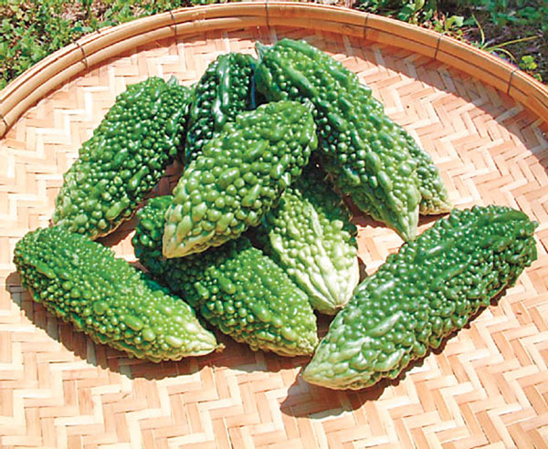 山苦瓜北虫草酵母酵母菇菌多糖萃取液专业oem代加工