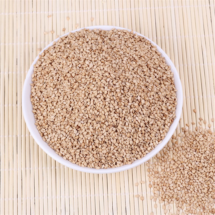 驻马店熟白芝麻黄芝麻食品厂用榨油磨酱五谷杂粮批发